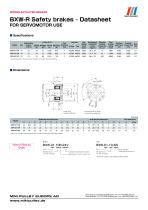 BXW Model datasheets-4