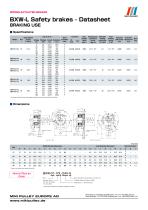 BXW Model datasheets - 1