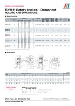 BXW Model datasheets - 2