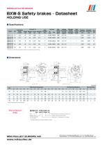 BXW Model datasheets - 3