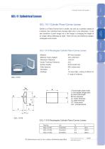 Daheng New Epoch Technology,Inc.-Cylindrical Lenses-5