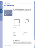 Daheng New Epoch Technology,Inc.-Cylindrical Lenses-8
