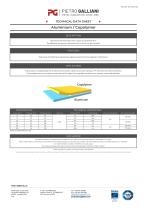 Aluminium / Copolymer-1