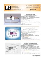 ELECTRO-CERAMIC PRODUCTS DIVISION-1