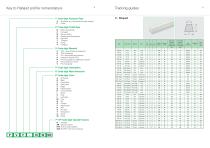 Thermoplastic Extruded Profiles - 3