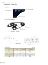 Automotive Belt - 5