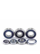 Rear Wheel Bearings