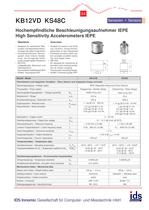 High Sensitivity Accelerometers IEPE - 1