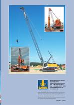 MC Foundation Cranes - 12