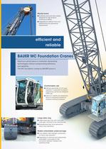 MC Foundation Cranes - 6