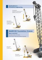 MC Foundation Cranes - 8