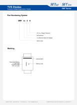 SMF Series-3