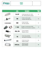 ISO 15552 standard cylinder-2
