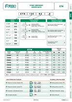 Pneumatic Globe Valve - 13