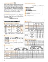 APM Pneumatic Modulevel®-4