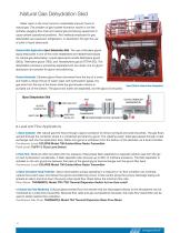 LEVEL AND FLOW INSTRUMENTS FOR MODULAR SKID SYSTEMS - 10