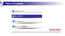Welcome to Join Hongsbelt-17