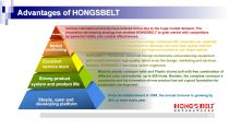 Welcome to Join Hongsbelt-19