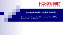 Welcome to Join Hongsbelt-1
