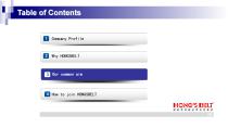 Welcome to Join Hongsbelt-27