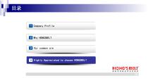 Welcome to Join Hongsbelt-31