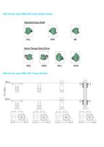 Ball Screw Jack RNK-20T-4