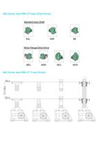 Ball Screw Jack RNK-2T-4