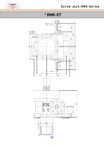Screw Jack RNK-Series-11