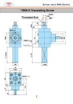 Screw Jack RNS-Series-8