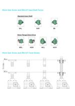 Small Worm Gear Screw Jack RN-0.5T-4