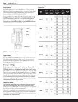 Safety Relief Valve - 2