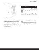 Safety Relief Valve - 3