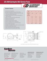 GD-2500Q Pump Model - 2