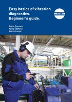 Easy basics of vibration diagnostics. Beginner’s guide.-1