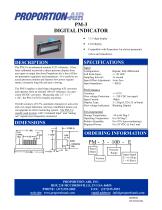 PM-3 DIGITAL INDICATOR - 1