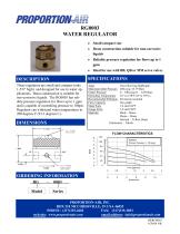 RG0003 WATER REGULATOR - 1