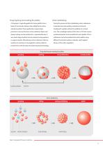 FLUIDIZED BED SYSTEMS - 9