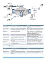 CTP Series Circuit to Packet Platforms - 2