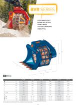series BVR_2024-1