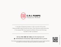 Swimming Pool Pump - Vista-3