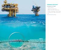 SIMULIA - 20