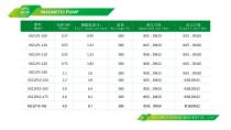 magnetic pump -5
