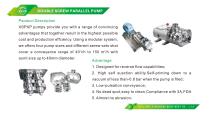 screw pump -1