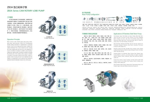 ZB3A Series CAM ROTARY LOBE PUMP1