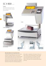 System class SC II scales - 10