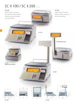 System class SC II scales - 4