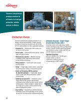 Oil & Gas Pumps-10