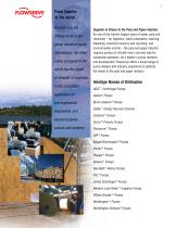 Pulp and Paper Pumps-2