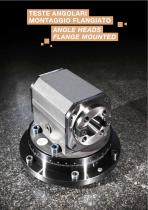 Angle heads flange mounted - 1