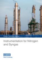 Instrumentation for Nitrogen and Syngas-1